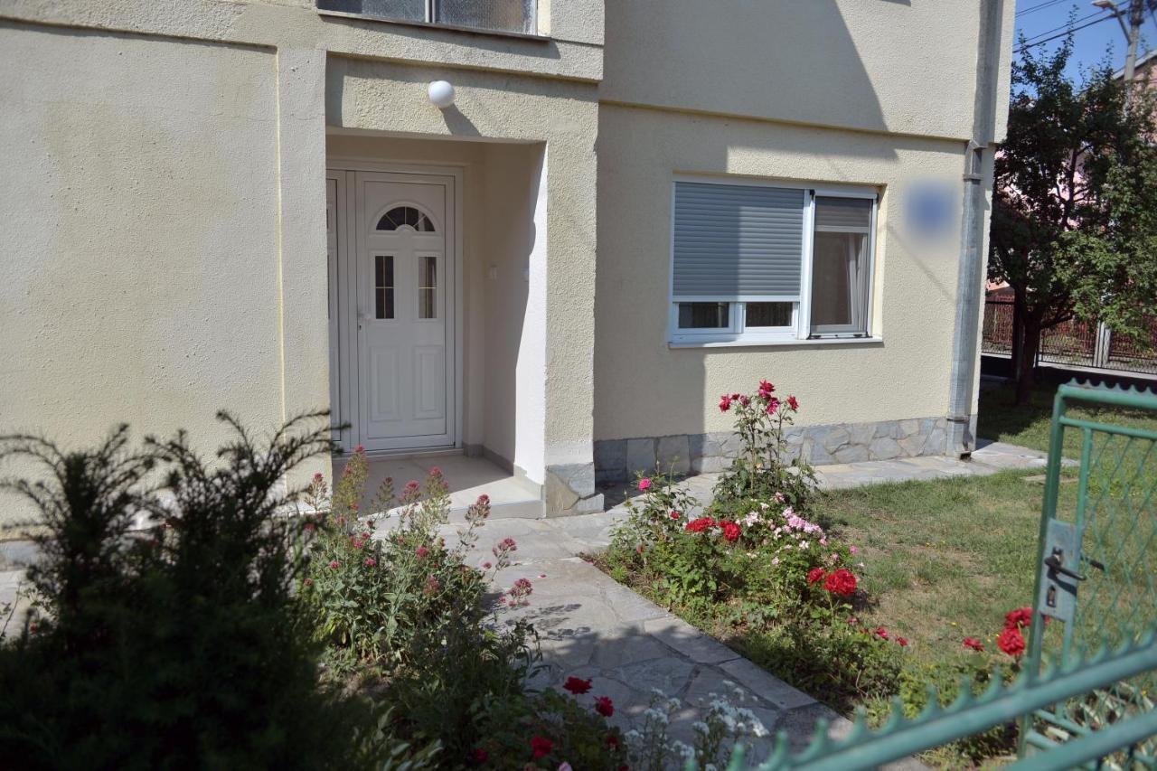 Affordable And Newly Renovated 1-Bedroom Apartment Kraljevo Kültér fotó
